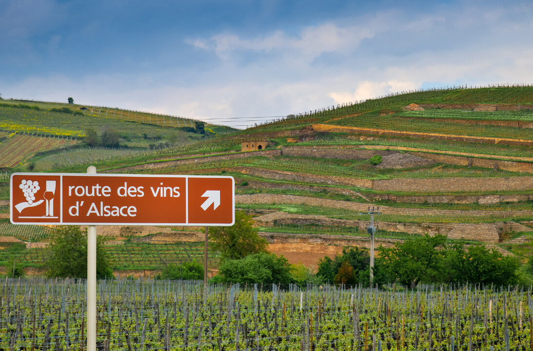 bord routes des vins