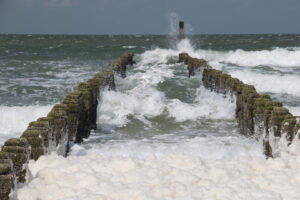 IMG 0849 IMG 0849